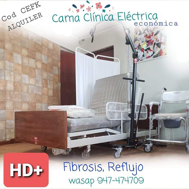 Alquiler Cama Electrica Economica