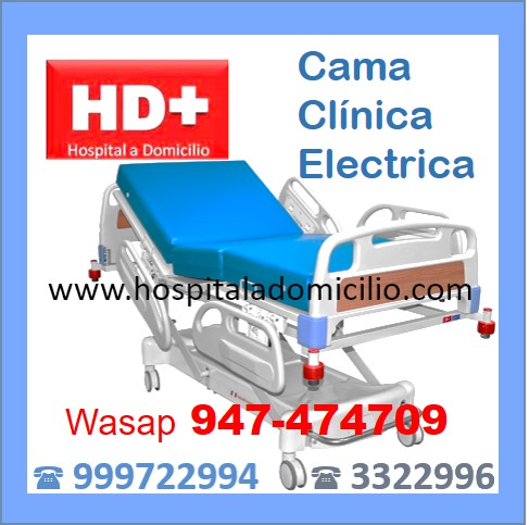Cama Clinica Electrica  VENTA