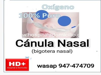 Cánula o bigotera