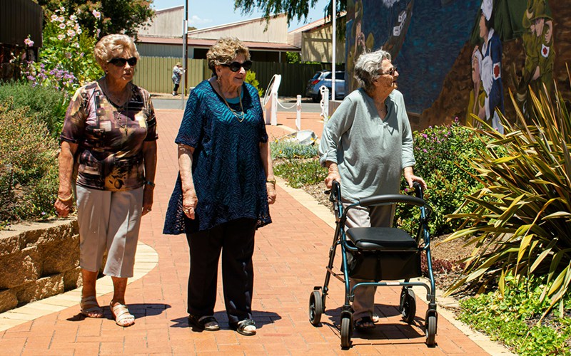 Ayudas para Caminar: Guía Completa de Productos para Pacientes y Adultos Mayores